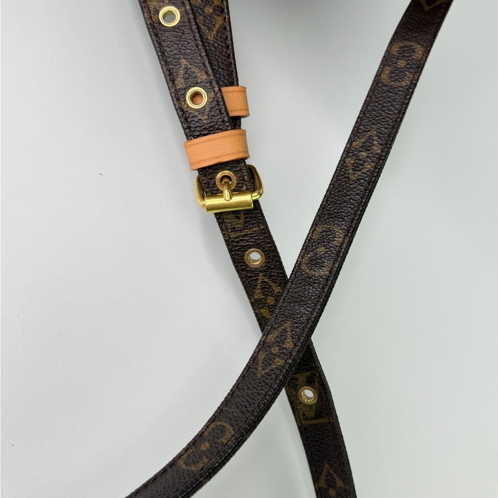 Authentic Louis Vuitton Monogram Crossbody Bag Vintage Amazone Everyday Bag - Picture 9 of 12